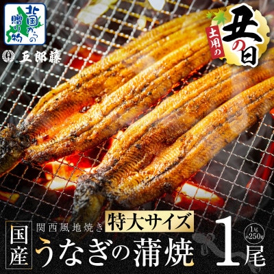 丑の日!老舗「五郎藤」 関西風地焼き 国産有頭旨鰻 250g×1尾 099H3443d