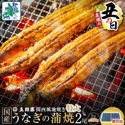 丑の日に間に合う【贈答用】五郎藤 関西風地焼き 国産有頭旨鰻 250g×2尾 015B385-1d