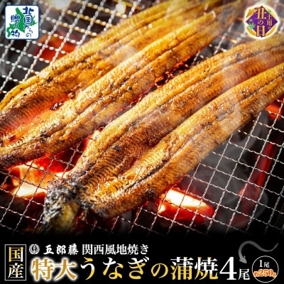 丑の日!老舗 「五郎藤」 関西風地焼き 国産有頭旨鰻 250g×4尾 099H4344d