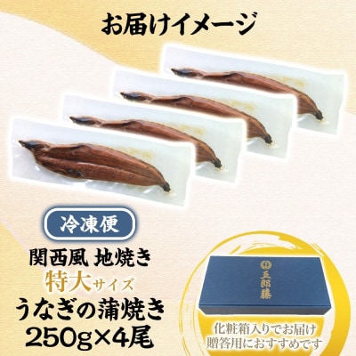 丑の日に間に合う【贈答用】五郎藤 関西風地焼き 国産有頭旨鰻 250g×4尾 099H4345d