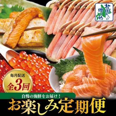 【毎月定期便】北国からの贈り物 お楽しみ定期便全3回 099Z418