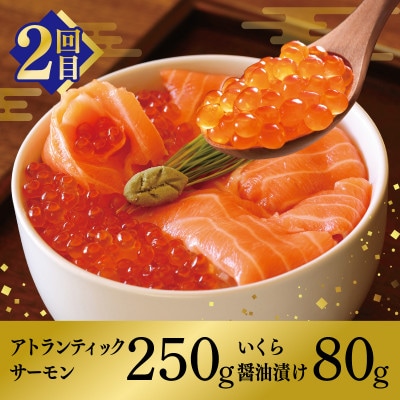 【毎月定期便】北国からの贈り物 お楽しみ定期便全3回 099Z418