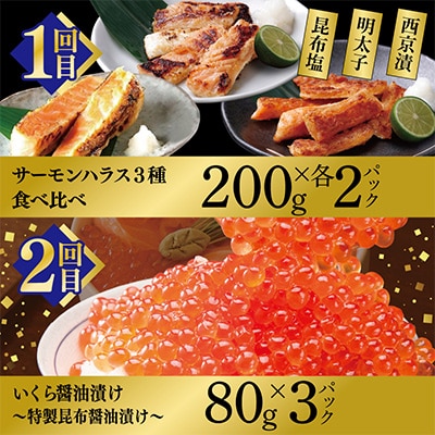 【毎月定期便】北国からの贈り物　厳選お楽しみ海鮮定期便全6回 099Z419