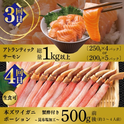 【毎月定期便】北国からの贈り物　厳選お楽しみ海鮮定期便全6回 099Z419