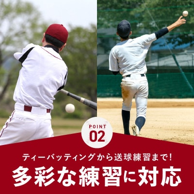 野球練習ネット バッティングネット 2Mサイズ 硬式球対応 099H3033