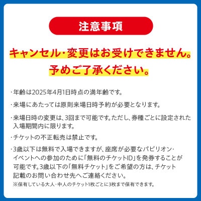 【開幕券】2025年日本国際博覧会 大阪・関西万博 入場チケット(中人1名分) 099W064