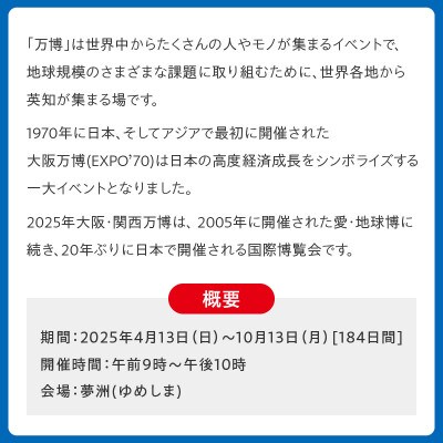 【前期券】2025年日本国際博覧会 大阪・関西万博 入場チケット(中人1名分) 099W067