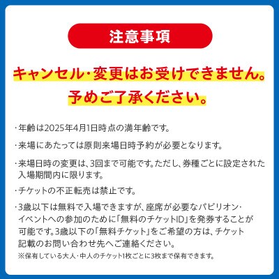 【前期券】2025年日本国際博覧会 大阪・関西万博 入場チケット(中人1名分) 099W067