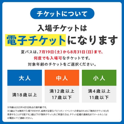 【夏パス】2025年日本国際博覧会 大阪・関西万博 入場チケット(中人1名分) 099W079