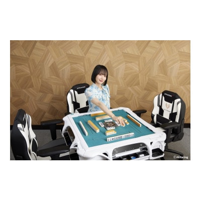 AKRacing MJ Grey 日本プロ麻雀連盟モデル エーケーレーシング　099H4789
