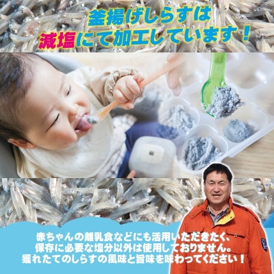 しらす漁師 濱ちゃんのこだわり 減塩 釜揚げしらす 900g(150g×6P) G2180