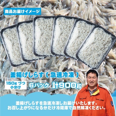 しらす漁師 濱ちゃんのこだわり 減塩 釜揚げしらす 900g(150g×6P) G2180