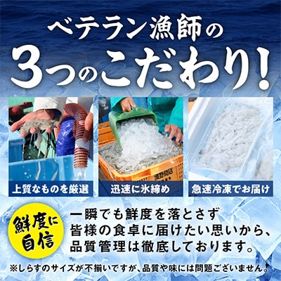 濱ちゃんのこだわり 減塩 釜揚げしらす 600g 小分け 150g×4P