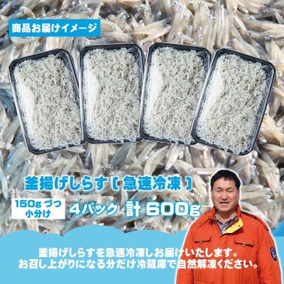 濱ちゃんのこだわり 減塩 釜揚げしらす 600g 小分け 150g×4P G2182