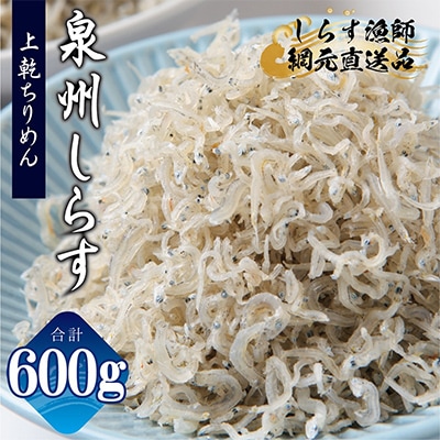 濱ちゃんのこだわり 上乾ちりめんしらす 600g 小分け 100g×6P G2183