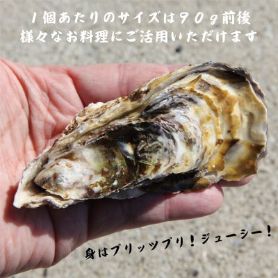 【先行予約】大阪湾牡蠣カンカン焼きセット 1.5kg G2186