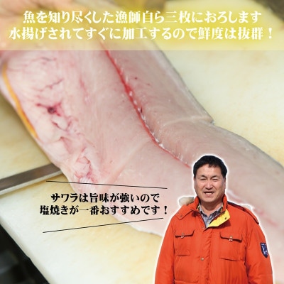 泉州さわら 片身 約1kg G2188