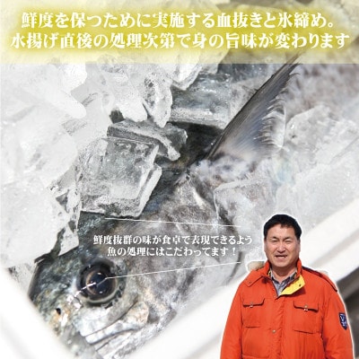 泉州さわら 片身 約1kg G2188