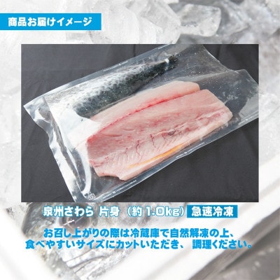 泉州さわら 片身 約1kg G2188
