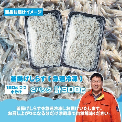 【お試し】濱ちゃんのこだわり 減塩 釜揚げしらす 300g 小分け 150g×2P G2864