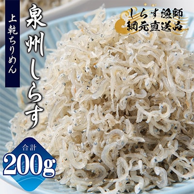 【お試し】濱ちゃんのこだわり 上乾ちりめんしらす 200g 小分け 100g×2P G2907