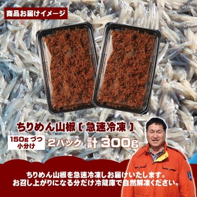 【お試し】濱ちゃんのこだわり ちりめん山椒しらす 300g 小分け 150g×2P G2908