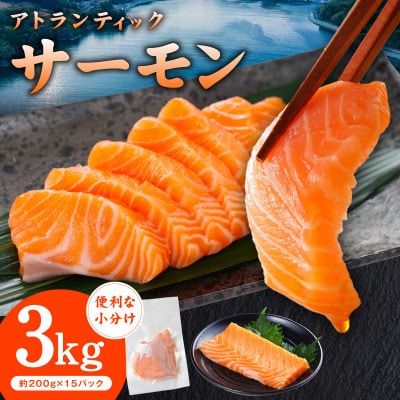 アトランティックサーモン 3kg 小分け 200g×15P 柵切り 刺身 G3554
