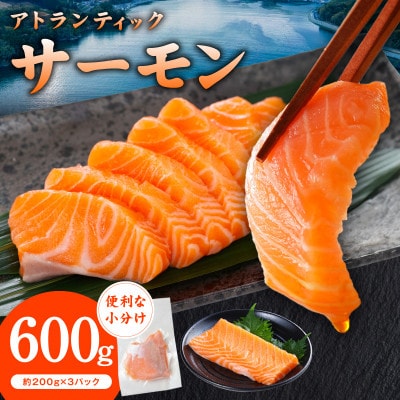 アトランティックサーモン 600g 小分け 200g×3P 柵切り 刺身 お試し G3544