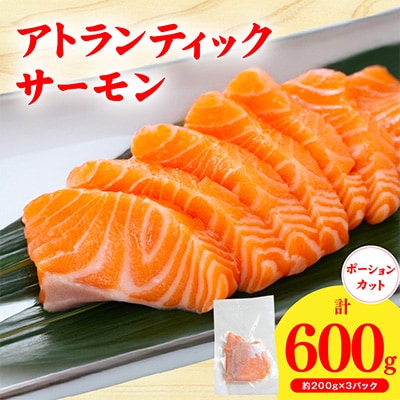 アトランティックサーモン 600g 小分け 200g×3P 柵切り 刺身 お試し G3544