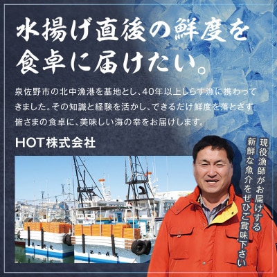 サーモン カマ 300g(約4～6切れ) 尻尾 小分け G3799