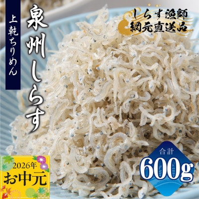 【お中元のし】上乾ちりめんしらす 600g 小分け 100g×6P おすすめ 産地直送