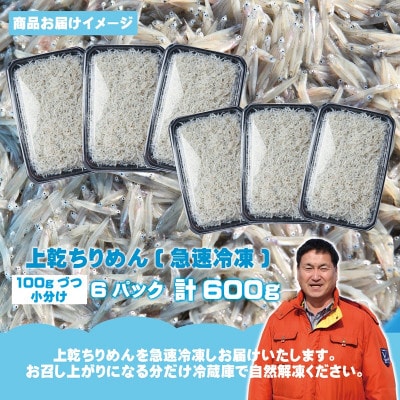 【お中元のし】上乾ちりめんしらす 600g 小分け 100g×6P おすすめ 産地直送