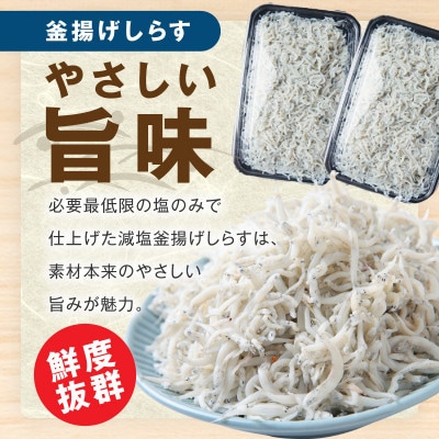 泉州しらす三昧セット(釜揚げしらす&ちりめん山椒&上乾ちりめん) 小分け 産地直送