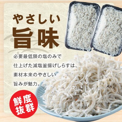 釜揚げしらす&ちりめん山椒セット 計1.2kg 小分け 産地直送