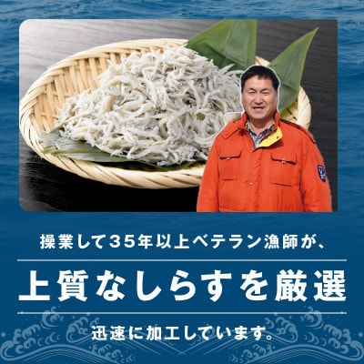 釜揚げしらす&ちりめん山椒セット 計1.8g 小分け 産地直送