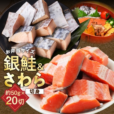 【お弁当サイズ】さわら&銀鮭 切身 計20切れ(各約50g×10切れ) 訳あり サイズ不揃い