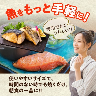 【お弁当サイズ】さわら&銀鮭 切身 計20切れ(各約50g×10切れ) 訳あり サイズ不揃い