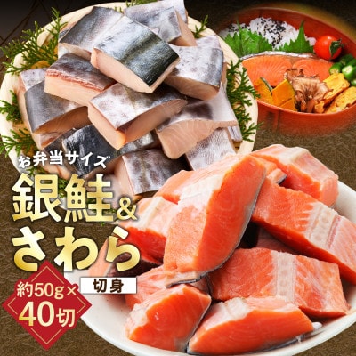 【お弁当サイズ】さわら&銀鮭 切身 計40切れ(各約50g×20切れ) 訳あり サイズ不揃い