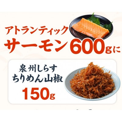 アトランティックサーモン 600g+ちりめん山椒150g 小分け ポーション