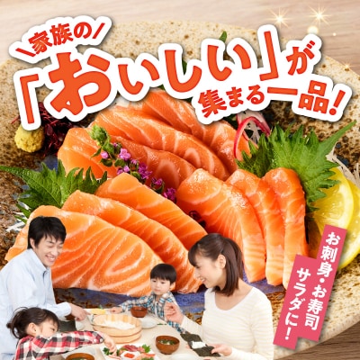 アトランティックサーモン 600g&ちりめん山椒150g 小分け ポーション