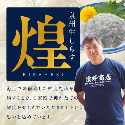 新物!泉州生しらす「煌(きらめき)」300g 小分け 100g×3P 漁師直送 国産