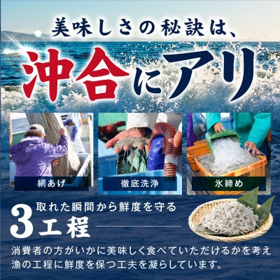 新物!泉州生しらす「煌(きらめき)」300g 小分け 100g×3P 漁師直送 国産
