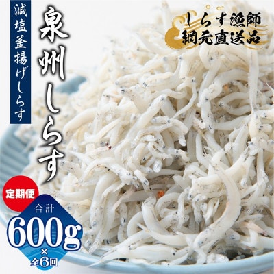 【毎月定期便】減塩 釜揚げしらす 総量3.6kg 産地直送600g×全6回 G2190-1