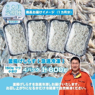 【毎月定期便】減塩 釜揚げしらす 総量3.6kg 産地直送600g×全6回 G2190-1