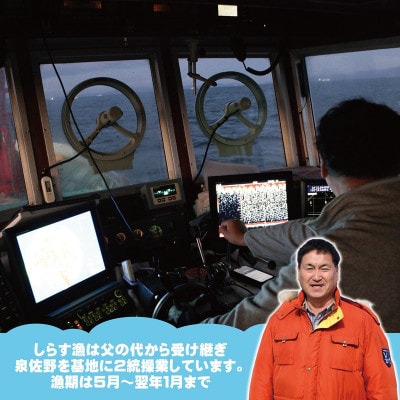 【毎月定期便】ちりめん山椒しらす 総量3.6kg 産地直送 600g×全6回 G2192