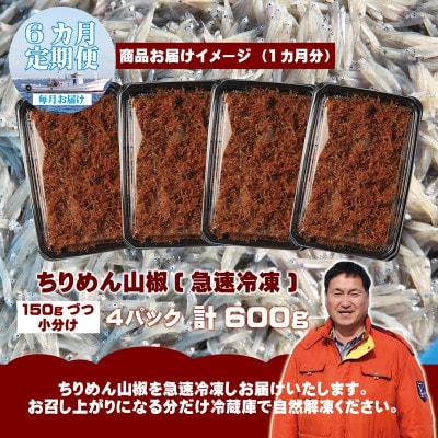【毎月定期便】ちりめん山椒しらす 総量3.6kg 産地直送 600g×全6回 G2192