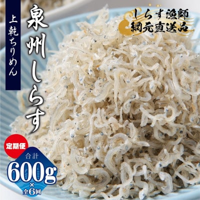 【毎月定期便】上乾ちりめんしらす 総量3.6kg 産地直送 600g×全6回 G2191