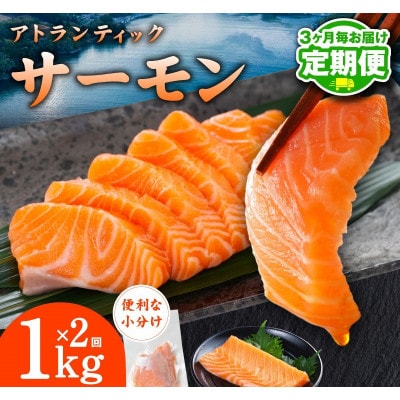 【3ヵ月毎定期便】アトランティックサーモン 200g×5P 1kg×全2回 G3713