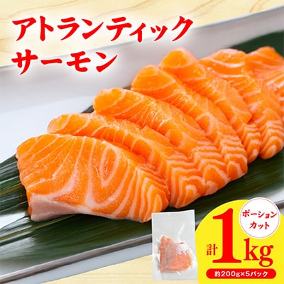 【3ヵ月毎定期便】アトランティックサーモン 200g×5P 1kg×全2回 G3713