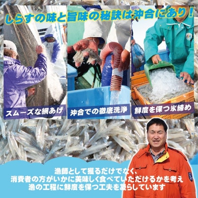 【3ヵ月毎定期便】減塩 釜揚げしらす 150g×6P 900g×全2回 G3714